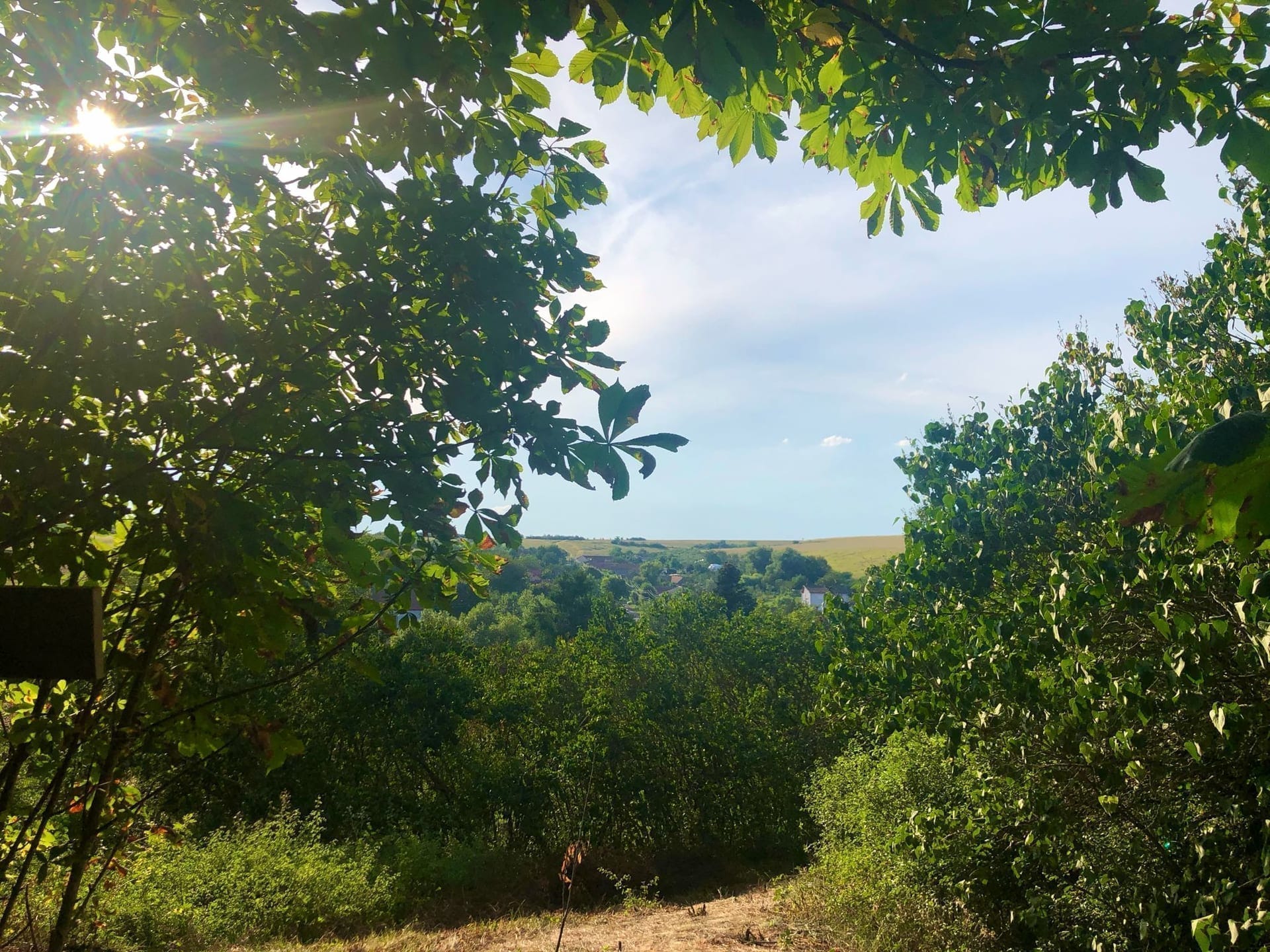 Natură la Domeniile Murani